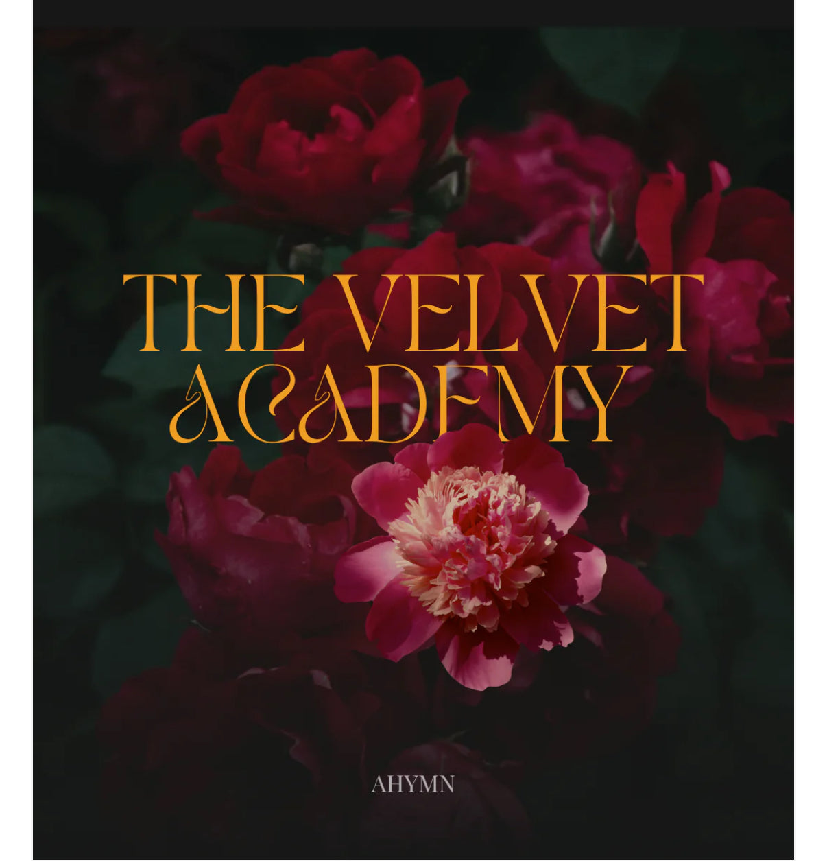 The Velvet Academy - Limited Edition ~ Begins August 3rd, 2026