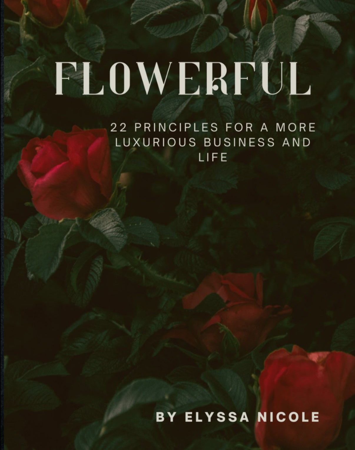 FlowerFul: 22 Principles for a More Luxurious Business and Life
(Print) -Coffee Table Edition Limited Edition