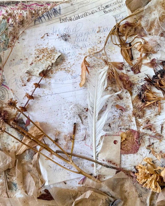 Nature- Limited Fine-Art Canvas