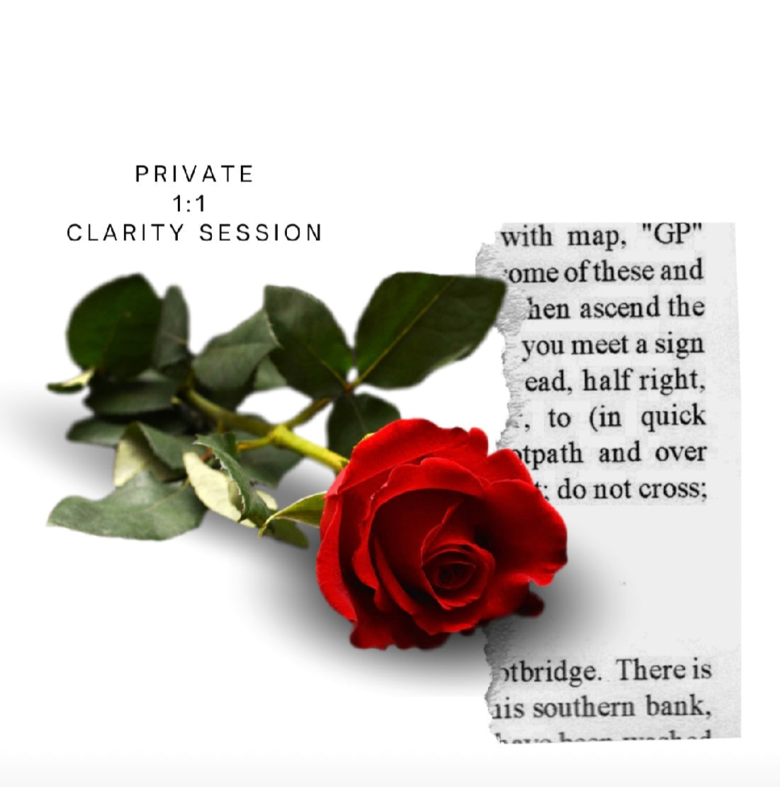 The Velvet Oracle Session- Mini Consultation